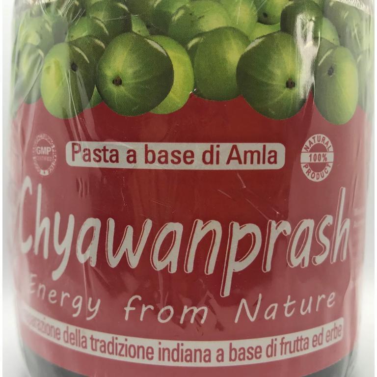 CHYAWANPRASH SPECIAL 500G