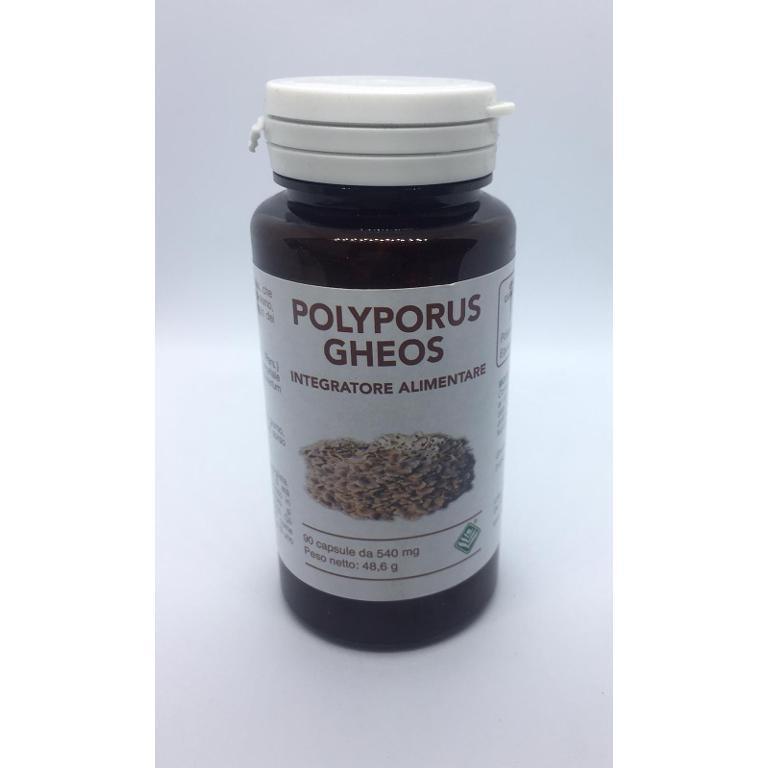 POLYPORUS GHEOS 90CPS