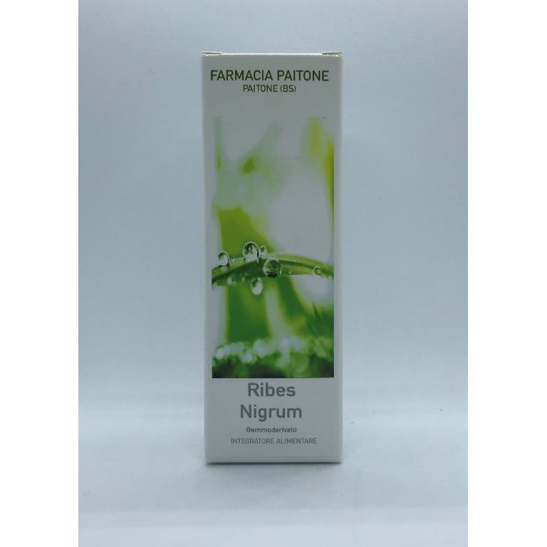 RIBES NIGRUM MG GEMMODERIVATO RIBES NERO 50ML